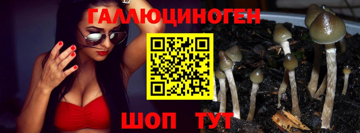 Псилоцибиновые грибы ЛСД Вятские Поляны
